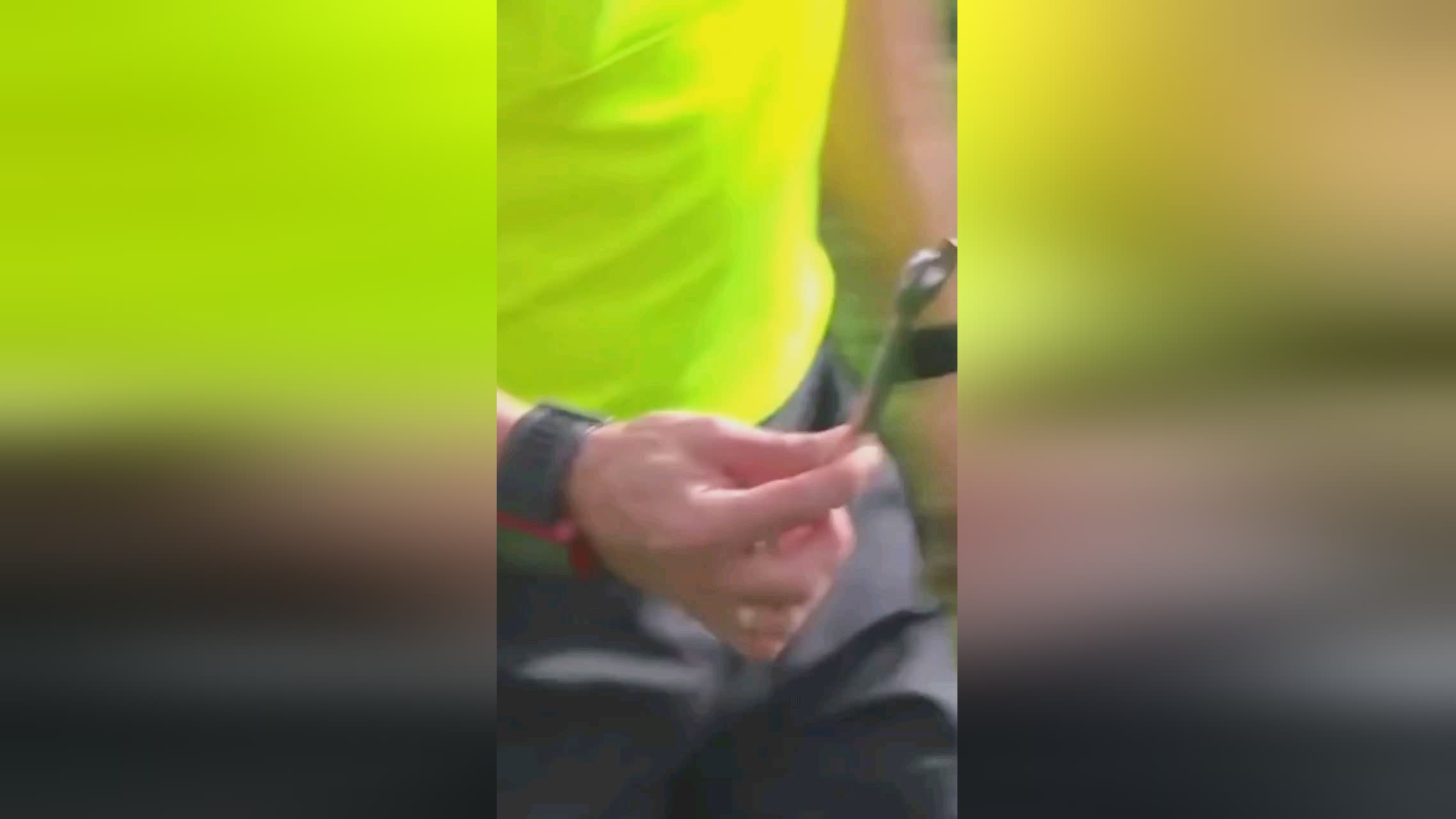 论后